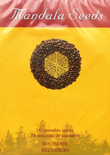 картинка Fast N' Glorious reg. от магазина Semki