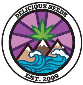 картинка Dark Lemonade Auto от магазина Semki