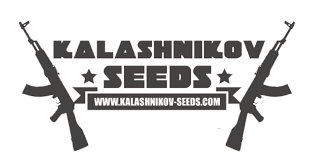 картинка Partizan Express от магазина Semki