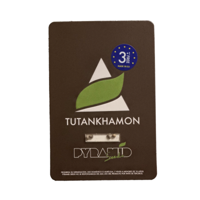 картинка Tutankhamon от магазина Semki